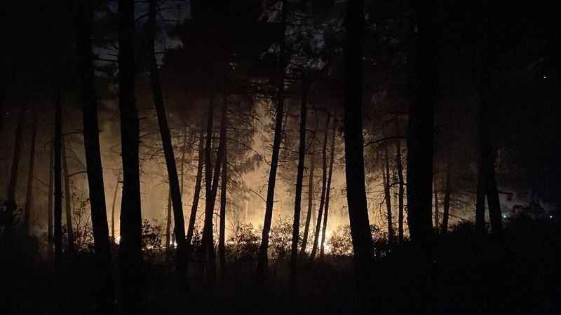 Çekmeköy'de ormanlık alanda çıkan yangın söndürüldü