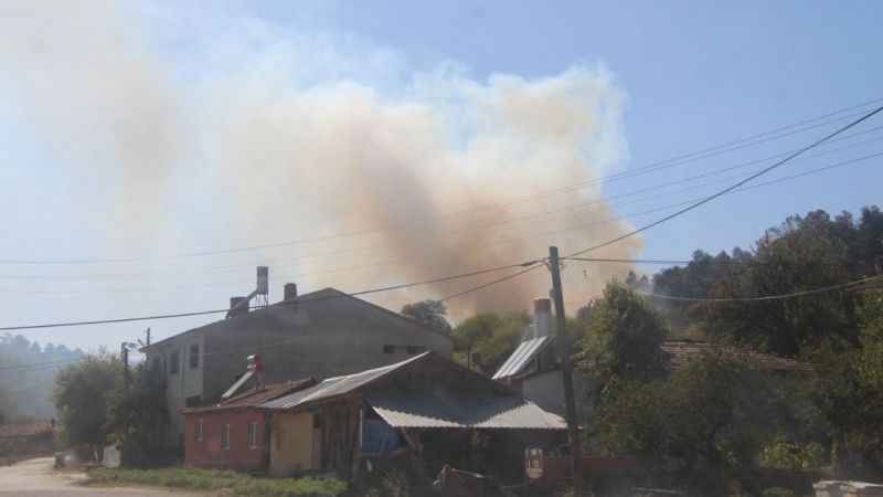 Bilecik'te otluk alanda çıkan yangın ormana sıçramadan söndürüldü