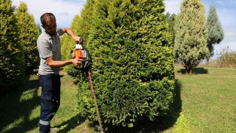 Kocaeli'de sonbahar hazırlığı