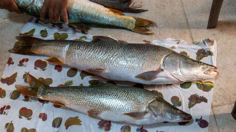 Balıkçılar birincilik için olta salladı