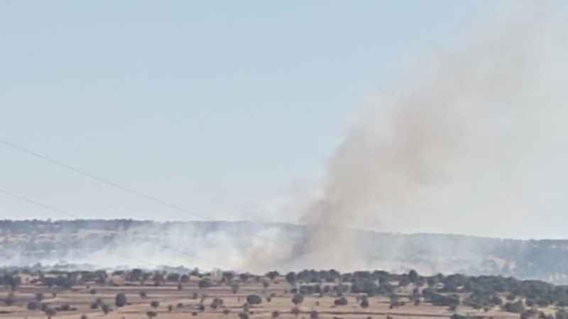 Eskişehir’de orman yangını