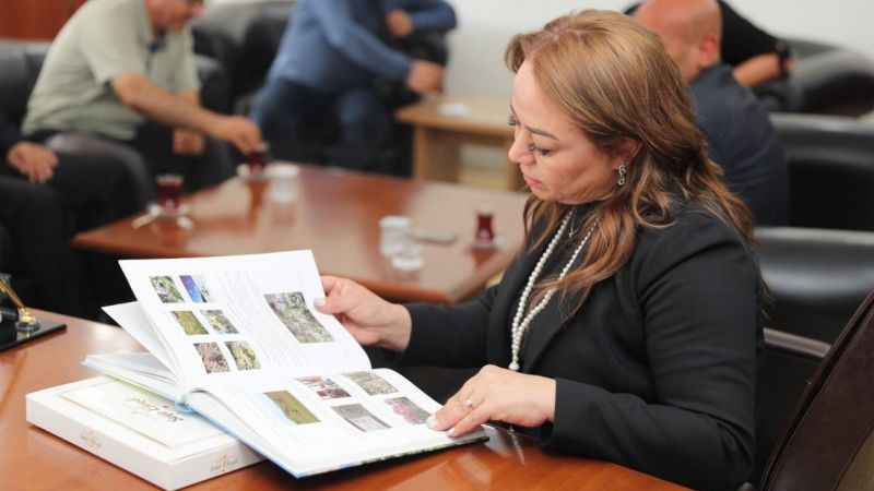 Reishi mantarı bağışıklığı güçlendiren güçlü bir antioksidan