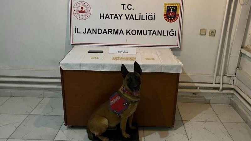 Hatay’da bin 51 adet captagon hap ele geçirildi