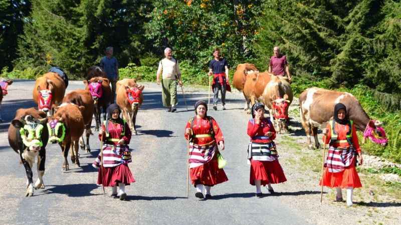 ‘Vargit’ çiçekleri açtı, yaylalardan dönüşe geçildi