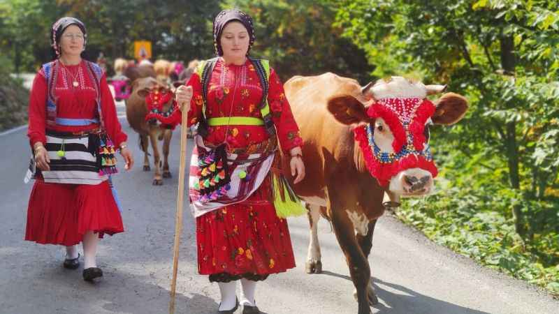 ‘Vargit’ çiçekleri açtı, yaylalardan dönüşe geçildi