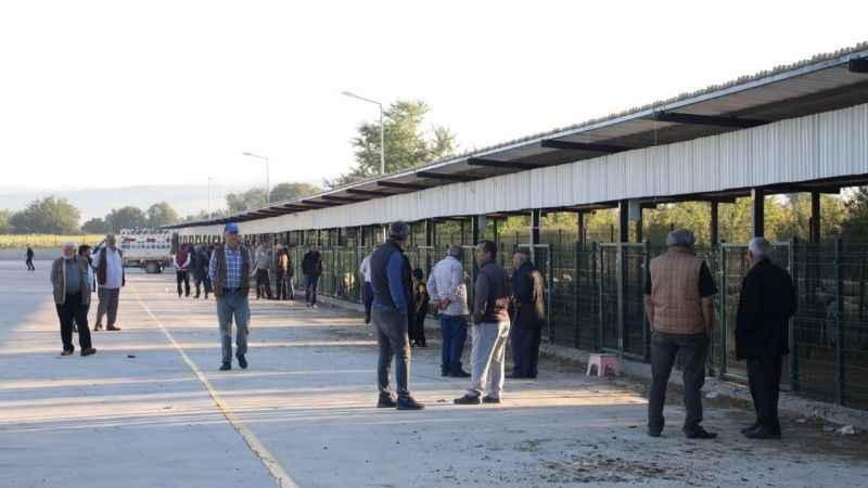 İnegöl hayvan pazarı şap riskine karşı kapatıldı
