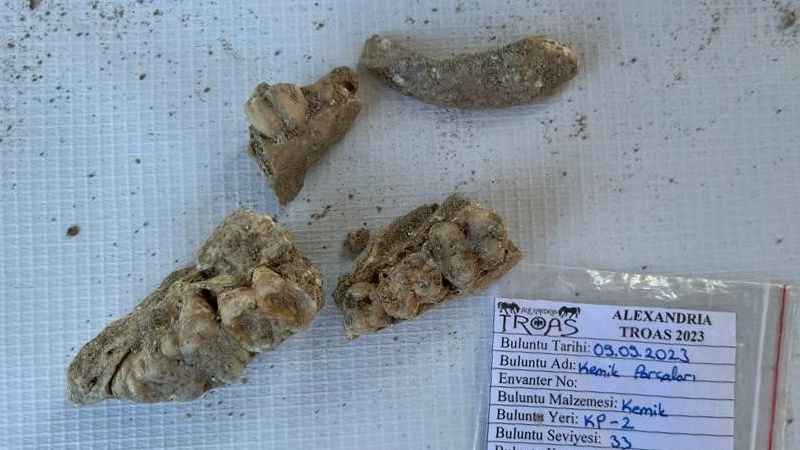 2400 yılık antik kentte salgın araştırması