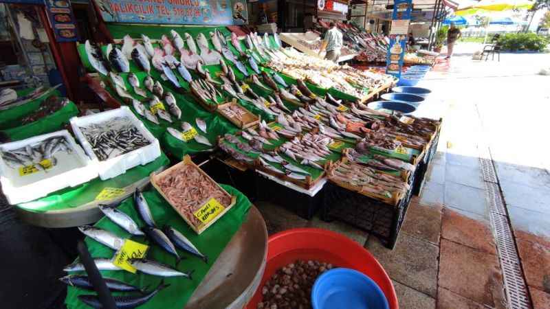 Balık tezgahlarında lüfer bolluğu: Fiyatı yarı yarıya düştü