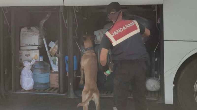 Aydın'da jandarma ekipleri düzensiz göçe geçit vermiyor