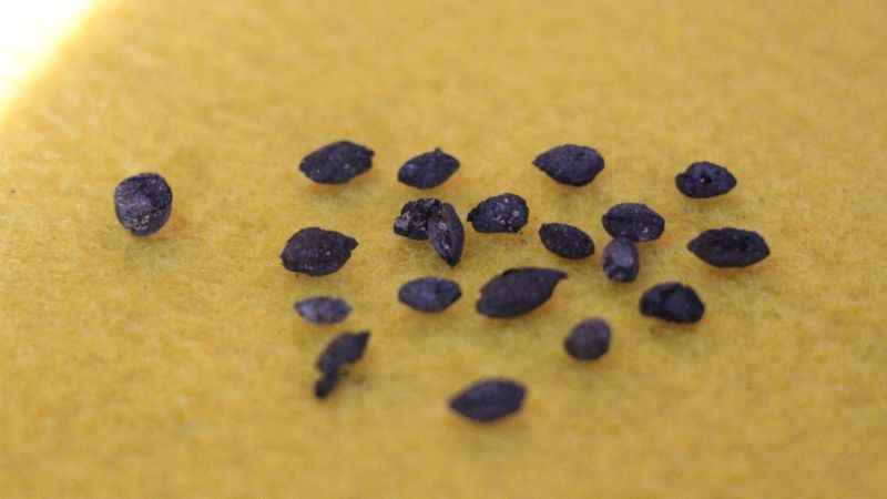 Oluz Höyük’te 2 bin 500 yıllık saray yemeği bulundu