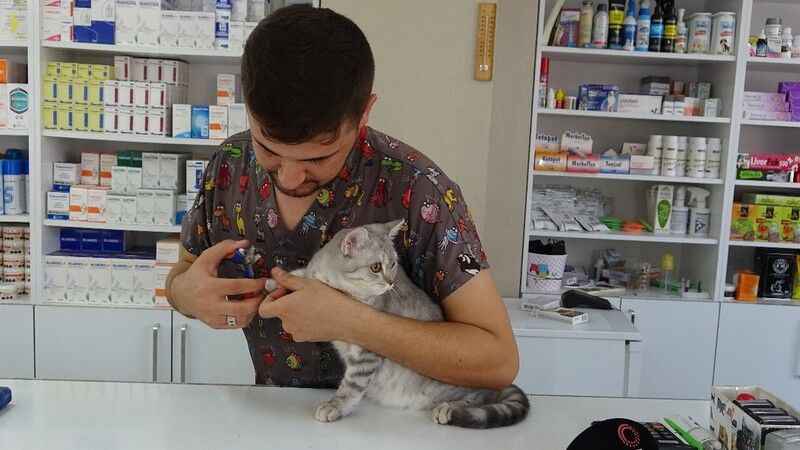 Evcil dostlarınız için bakım tavsiyeleri