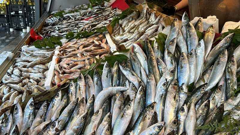 Tezgahlarda hamsi bolluğu Tezgahlarda hamsi bolluğu