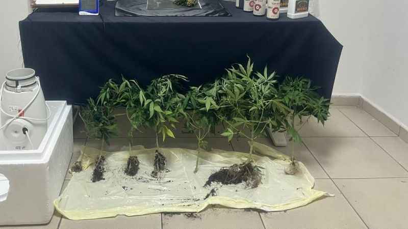 Karabük'te özel düzenekle uyuşturucu yetiştiren şahıs yakalandı