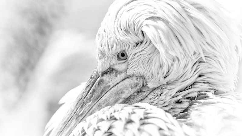 BursaFotoFest 2023'te 'Yüzyılın İzleri' sunulacak