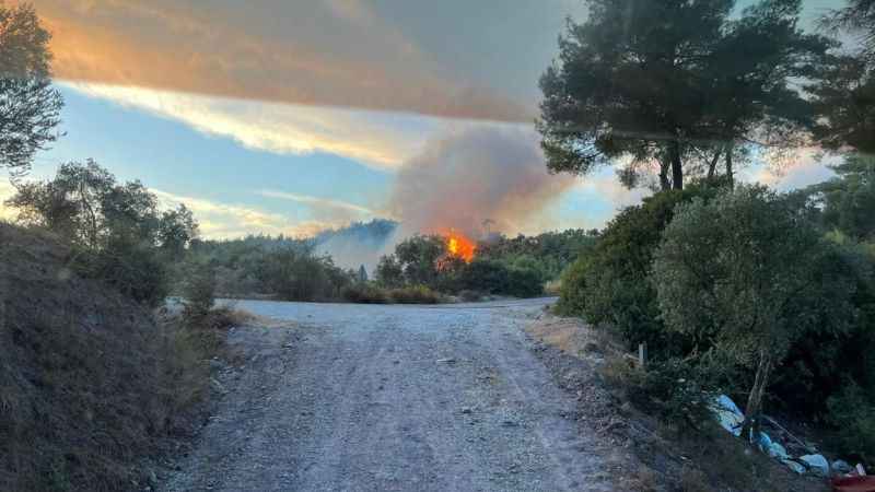 Milas’taki orman yangını söndürüldü