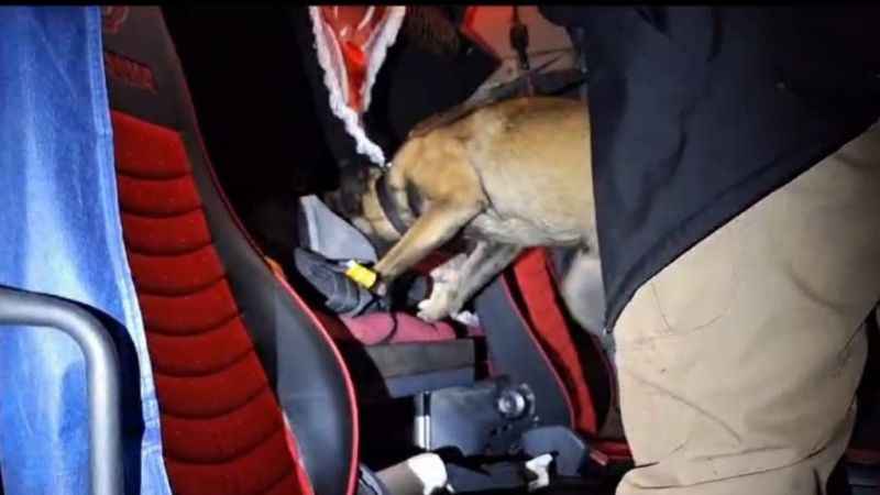 Narkotik köpeği 'Thor' tırdaki uyuşturucuyu böyle buldu
