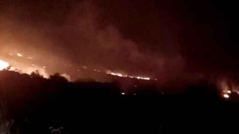 Balıkesir'de orman yangını