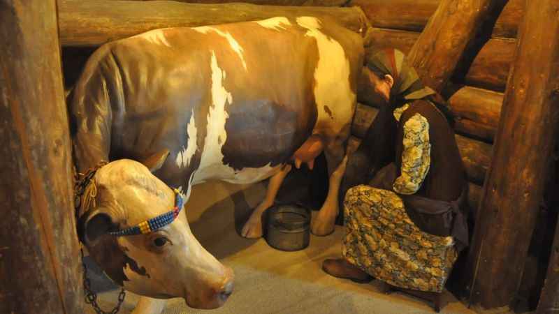 Kars Peynir Müzesi turistlerin uğrak yeri oldu