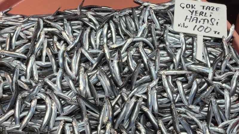 Fırtına hamsi fiyatlarını vurdu