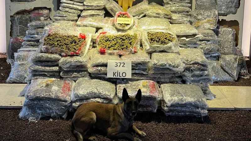 Malatya’da 372 kilo skunk ele geçirildi