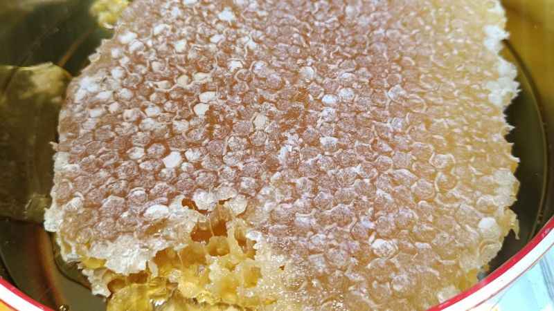 Şifa kaynağı olan Pervari balının hasadına başlandı