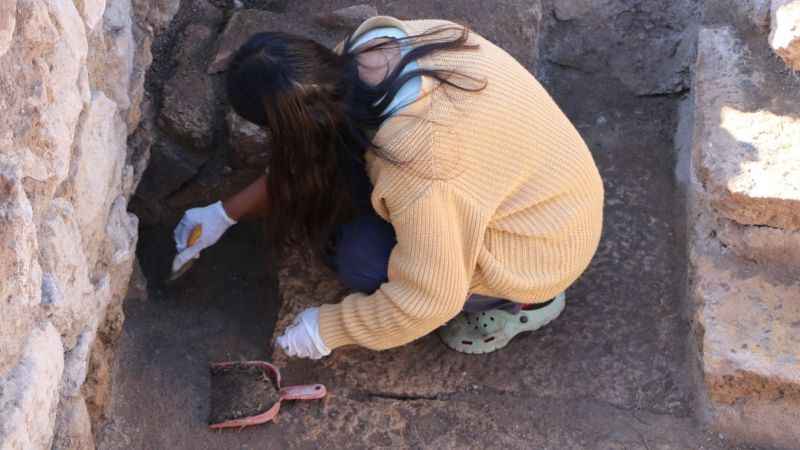  Antik kentten bin 600 yıllık tohumlar bulundu