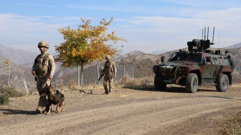 Lice'de terör operasyonu