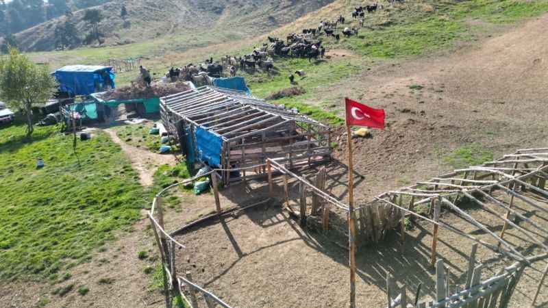 Konargöçerlerin kış öncesi zorlu göçü başladı