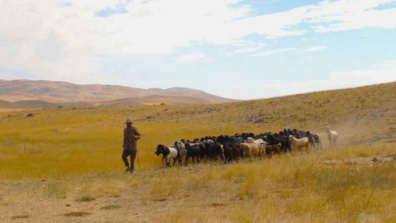 Kahramanmaraş'ta yayladan inişler başladı Kahramanmaraş'ta yayladan inişler başladı
