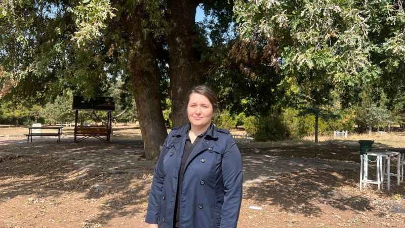 700 yıllık meşe ağacı tescillenerek koruma altına alındı