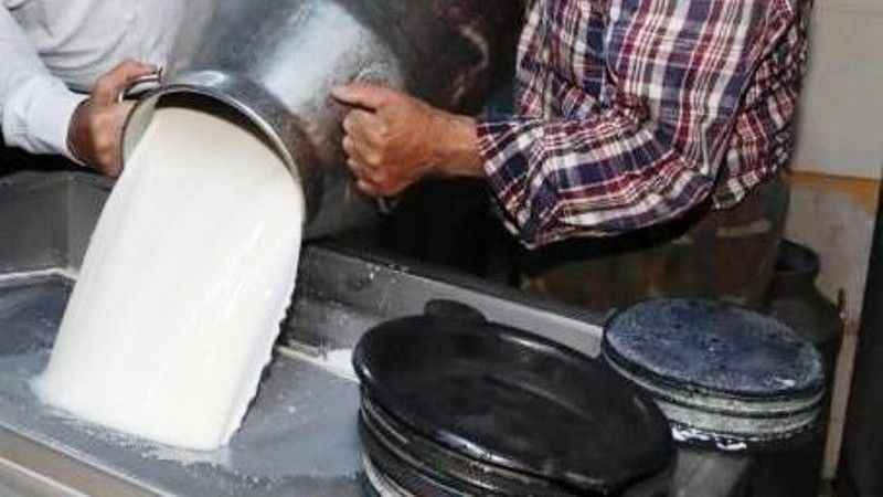 Toplanan inek sütü miktarı yüzde 4,6 arttı