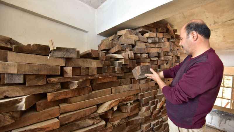 Bin yıllık ceviz ağaçlarından sanat eseri bastonlar