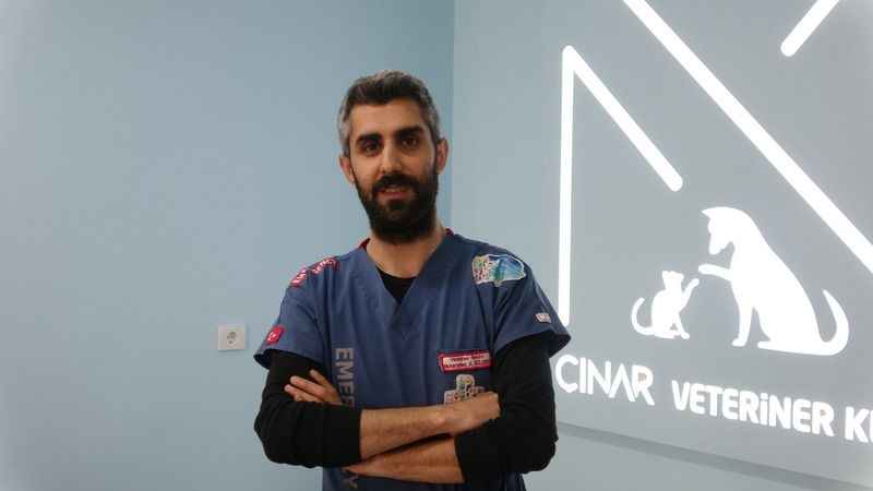 Evcil hayvanından uyuz kapma riskine dikkat!