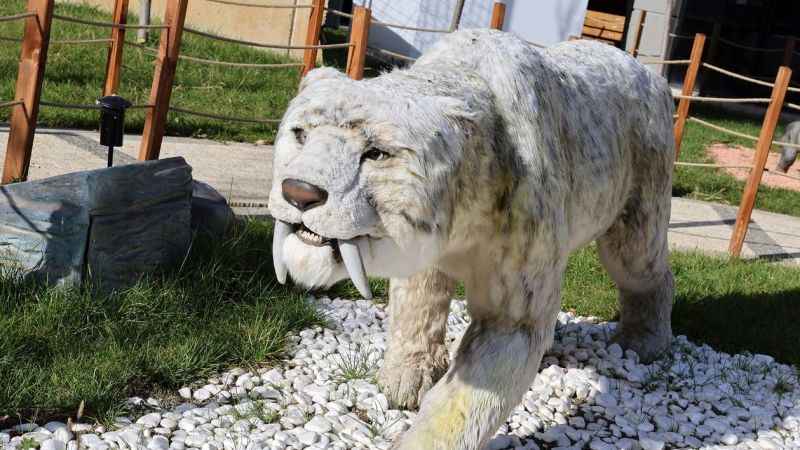 Ataşehir'de Evrensel Değerler Çocuk Müzesi 