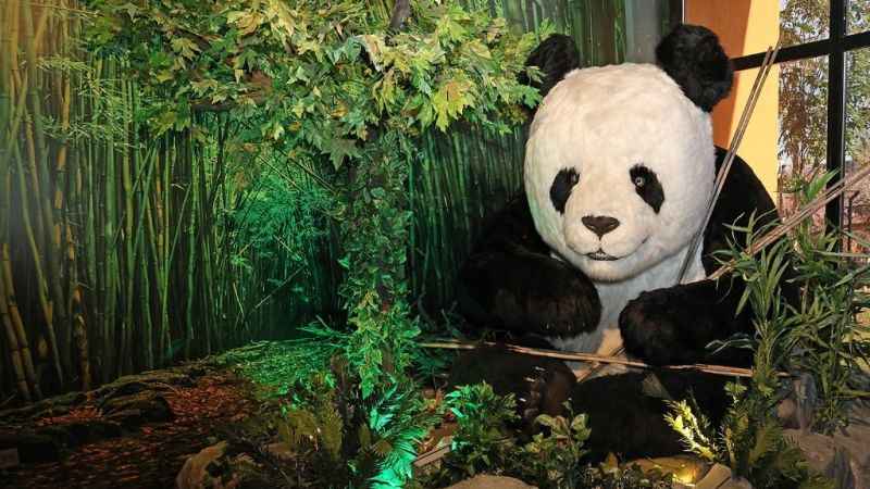 Ataşehir'de Evrensel Değerler Çocuk Müzesi 