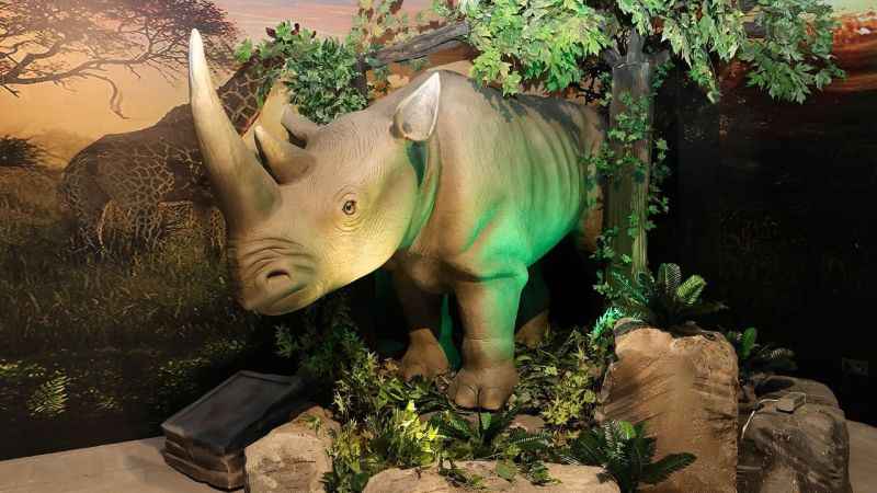 Ataşehir'de Evrensel Değerler Çocuk Müzesi 