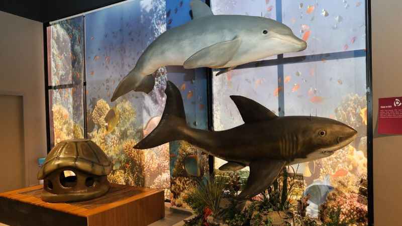 Ataşehir'de Evrensel Değerler Çocuk Müzesi 