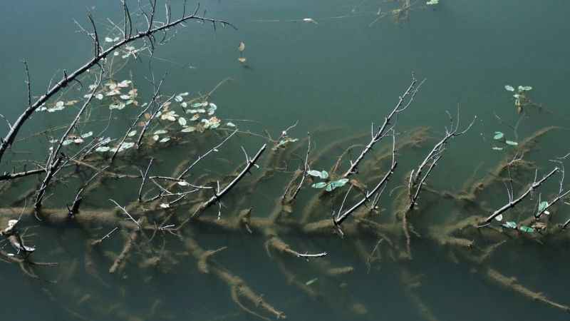 Düzce'nin sanatsal üretim projesine AB desteği