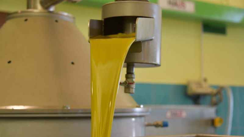 Ucuza zeytinyağı alıp sağlığınızdan olmayın