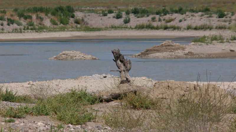 Su kıtlığına yapay zekalı önlem