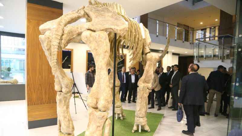 Kayseri'de 7,5 milyonluk fosil faunası sergileniyor Kayseri'de 7,5 milyonluk fosil faunası sergileniyor