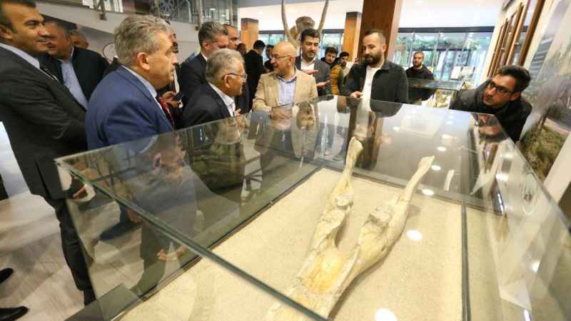 Kayseri'de 7,5 milyonluk fosil faunası sergileniyor