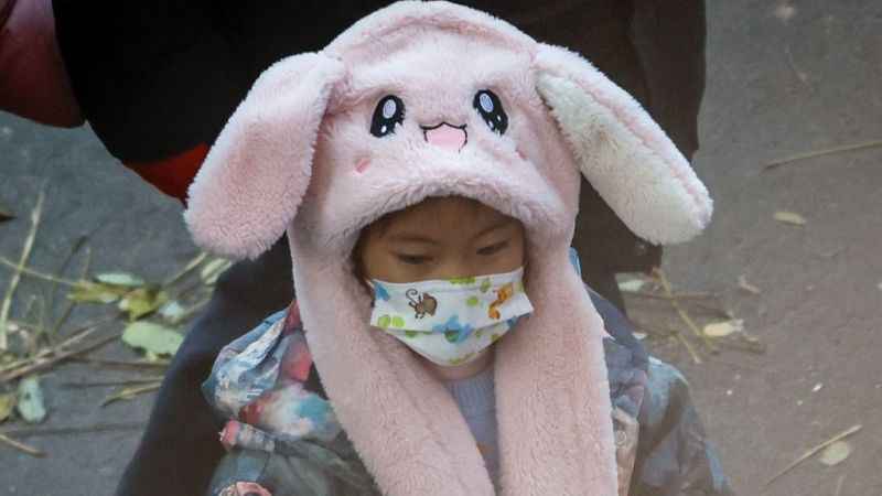 DSÖ, zatürredeki artışla ilgili Çin'den bilgi talep etti