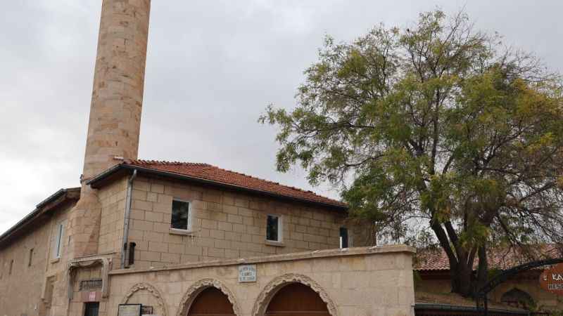 Nevşehir'de 100 yıllık bir Japon ağacı!