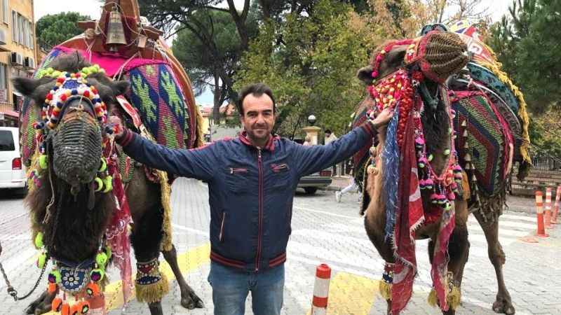 Denizli'de develerin gövde gösterisi