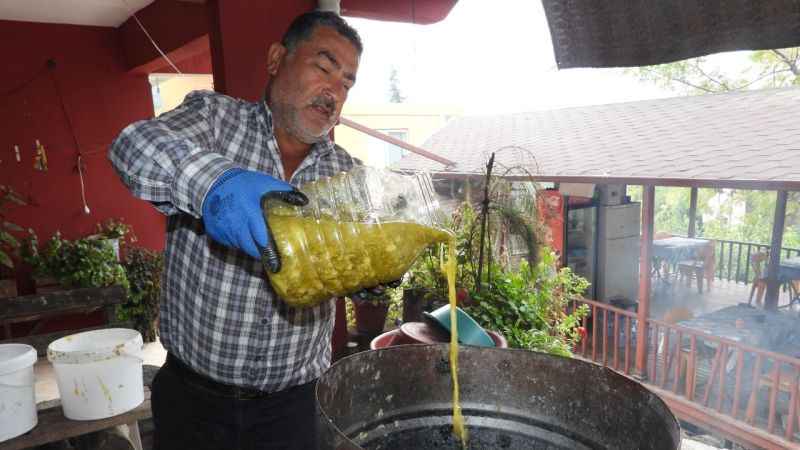 Defne sabununun faydaları saymakla bitmiyor