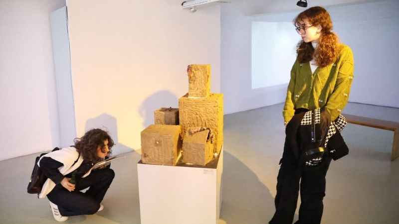  Misi’nin Florası genç sanatçıların eserlerinde