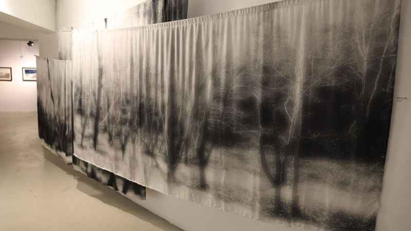  Misi’nin Florası genç sanatçıların eserlerinde