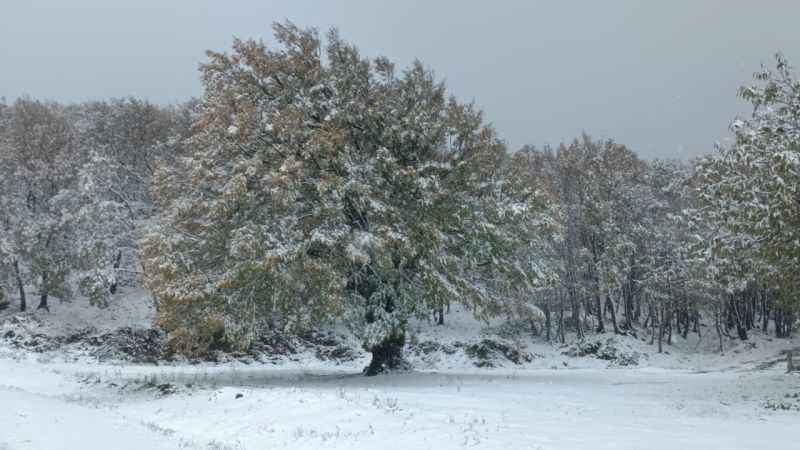 Lapseki’de Dumanlı Dağı'na mevsimin ilk karı yağdı