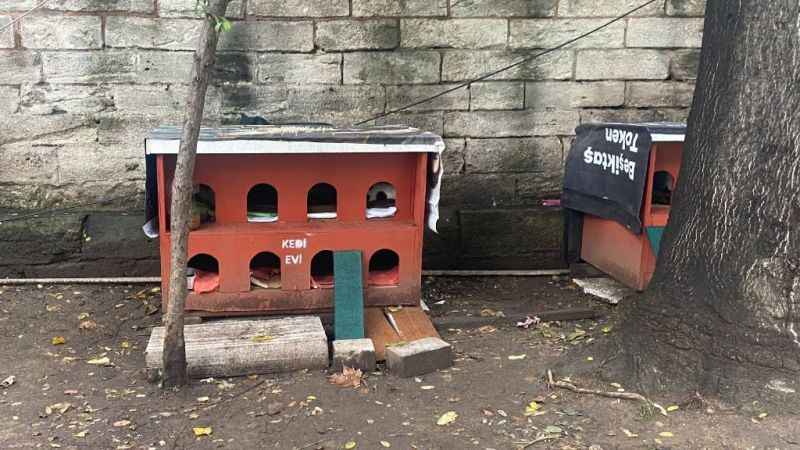 Osmanlı Dönemi'nden gelen Hayvan Hakları Beyannamesi